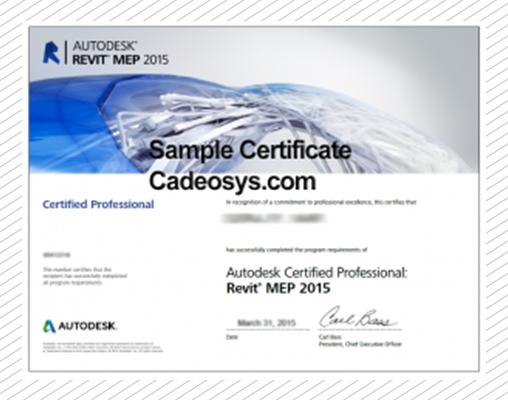 Sample certificate